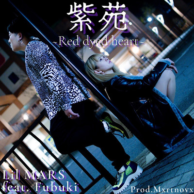 紫苑 ~Red dyed haert~ (feat. Fubuki)のジャケット写真