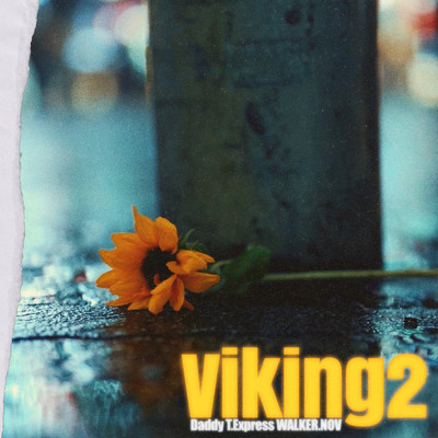 Viking2 Front Cover
