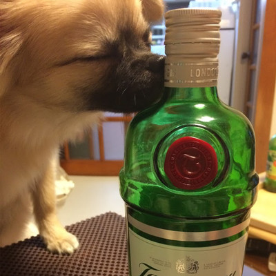 LOVE&WITS VOL.1 Front Cover