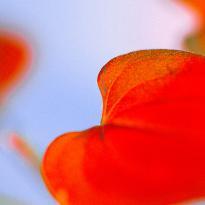 旧り行くとしてものジャケット写真