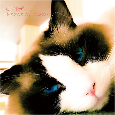 Peace Of Cakeのジャケット写真