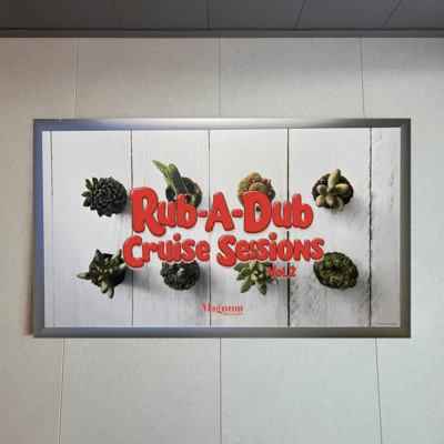 RUB A DUB SCHOOL ~CRUISE SESSIONS VOL.2~ (feat. PUSHIM, J-REXXX, Rueed, JUMBO MAATCH, TAKAFIN, CORN HEAD, s;si, CORN BREAD, ANARCHY, RITTO, Jr.SANTA, Spinna B-ILL, RYO the SKYWALKER, ARARE, PAPA B, 卍LINE, Zeebra, PAPA U-GEE & IVAN)のジャケット写真