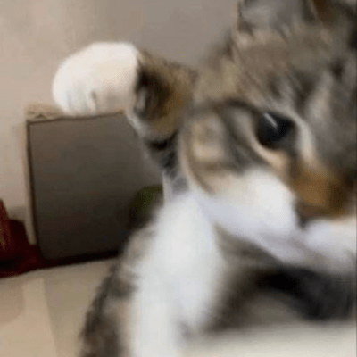 Hot and cold Front Cover