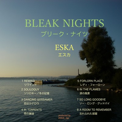 BLEAK NIGHTS Front Cover