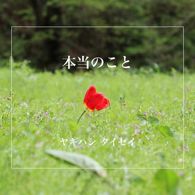 本当のことのジャケット写真