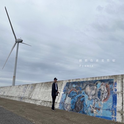 網膜色素変性症のジャケット写真