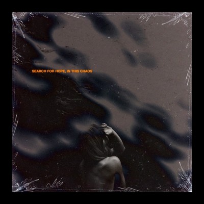 Search for Hope, In this Chaos Front Cover