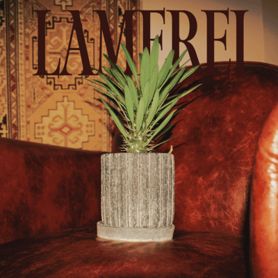 LAMEREIのジャケット写真