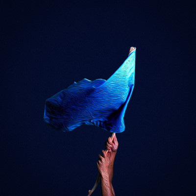 Seiginohata Front Cover