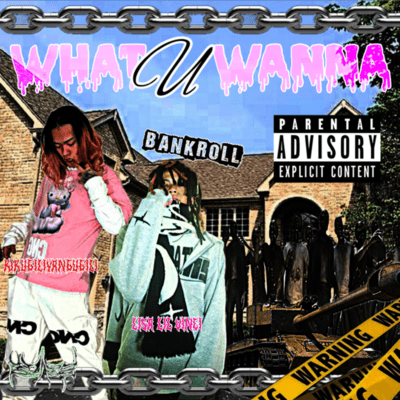 what u wanna (feat. Lisa lil vinci) Front Cover