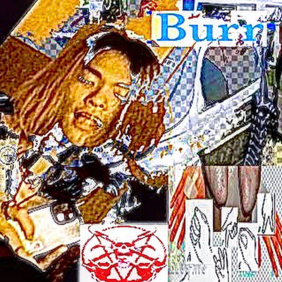Burr Front Cover
