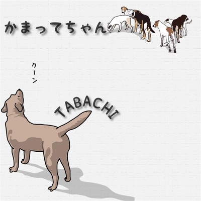 かまってちゃんのジャケット写真