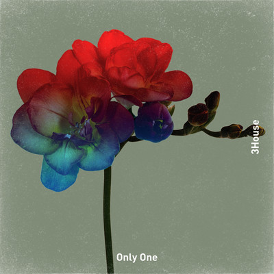 Only One Front Cover