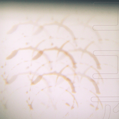 Hot Chocolate Front Cover