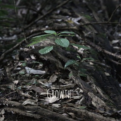 Growth Front Cover