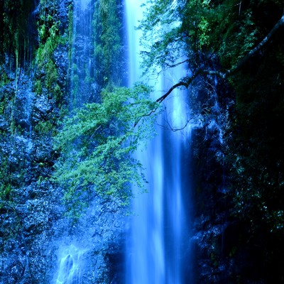 Good Rest Front Cover