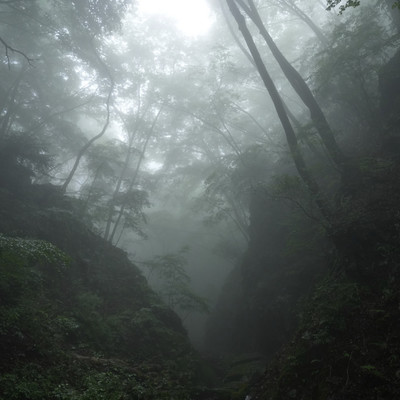 afterglow Front Cover