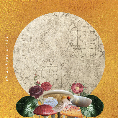 rh ambient worksのジャケット写真