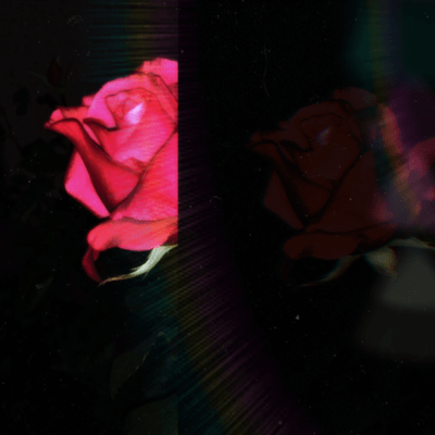 FLOWER Front Cover
