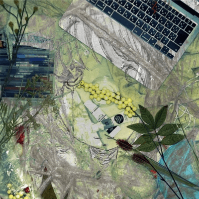 夜行性の羽のジャケット写真