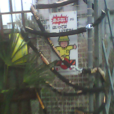 リサイクルのジャケット写真