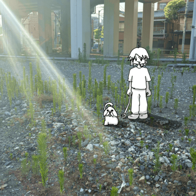 marucheeze kanyuu wa runowa-ru de Front Cover