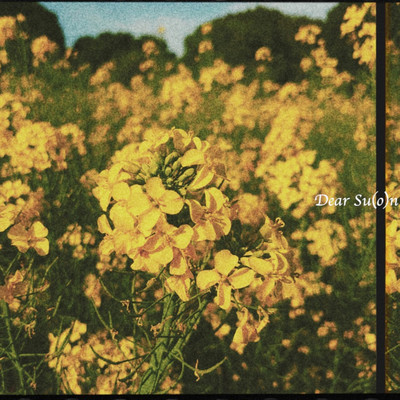 Dear Su-o-n Front Cover