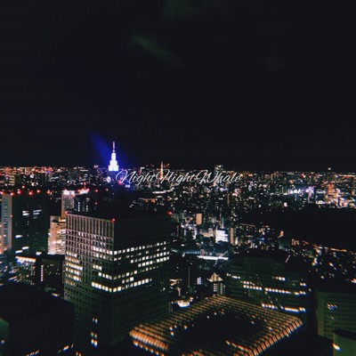 Night Flight Whaleのジャケット写真