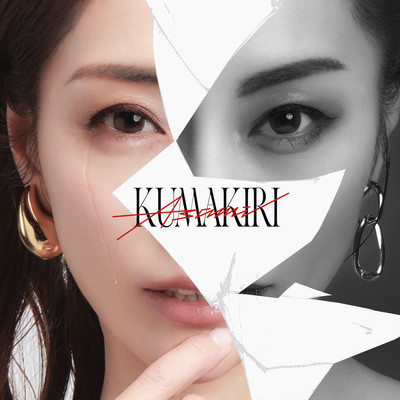 Daikiraidakedo Daisukinahito Front Cover