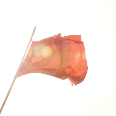 Reunion Flag Front Cover