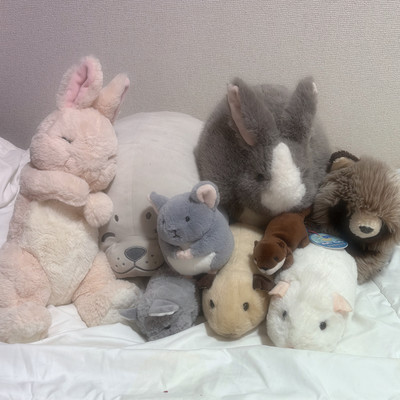 Family Petsのジャケット写真