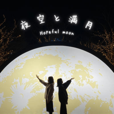 Night sky & Full moon Front Cover