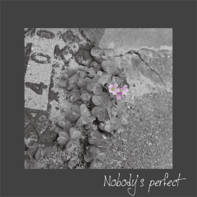 Nobody's perfectのジャケット写真