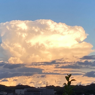 君はバラードになったのジャケット写真