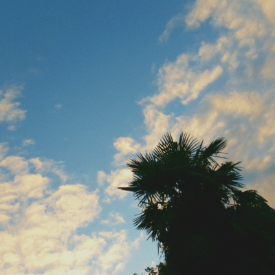 20年後にはのジャケット写真