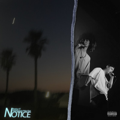 Notice Front Cover