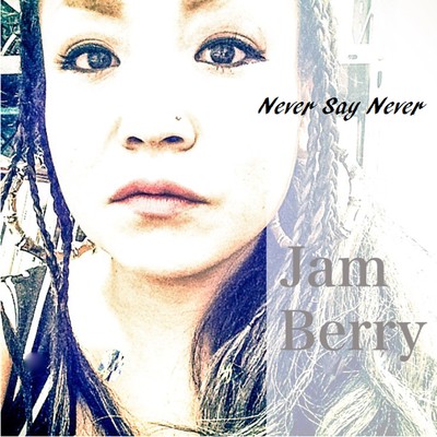 Never Say Never Front Cover