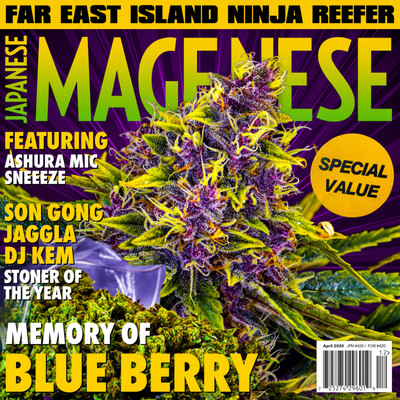 BLUE BERRY (feat. ASHURA MIC & SNEEEZE) Front Cover