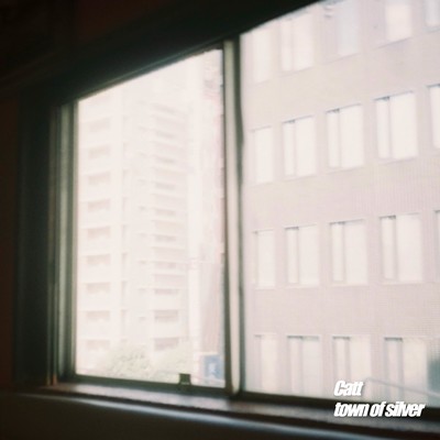 town of silver Front Cover