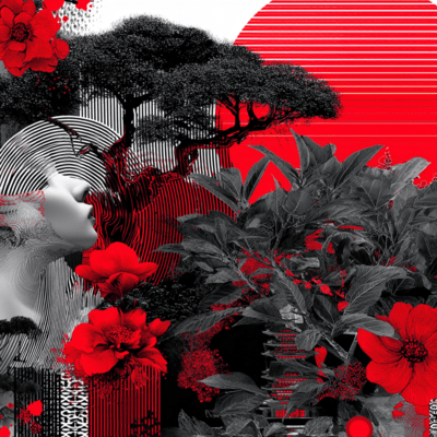 Don't shape this morning Front Cover