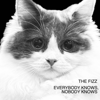 EVERYBODY KNOWS, NOBODY KNOWSのジャケット写真