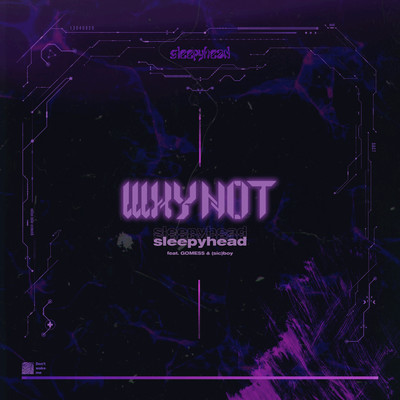 WHY NOT (feat. GOMESS & (sic) boy)のジャケット写真