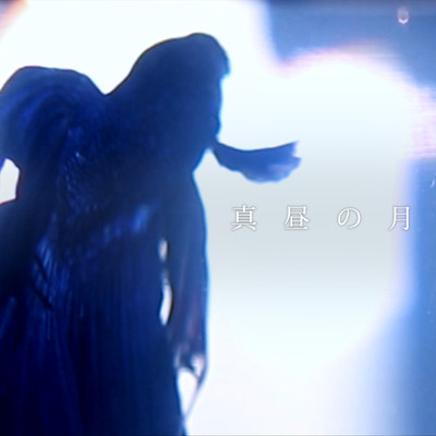 Moon in the middle day Front Cover