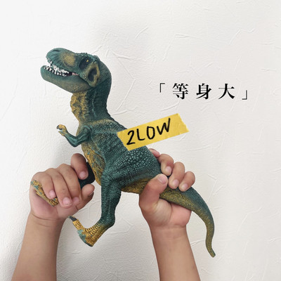 等身大のジャケット写真