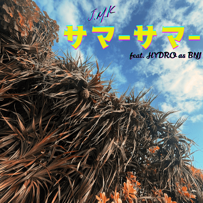 summer summer Front Cover