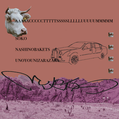 actslum Front Cover