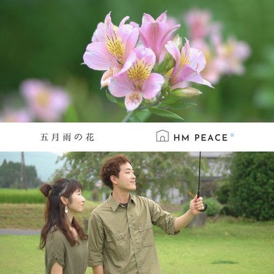 五月雨の花のジャケット写真