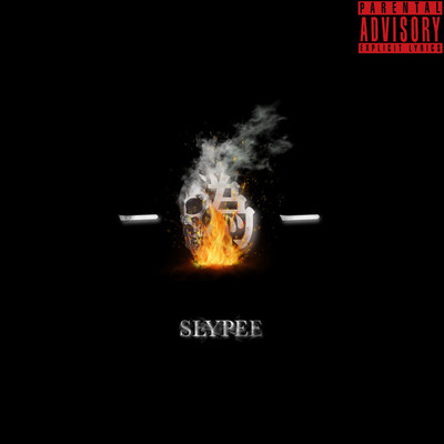 偽のジャケット写真