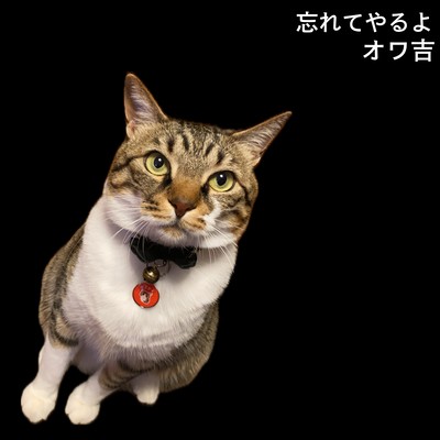 I'll Forget Everything Front Cover