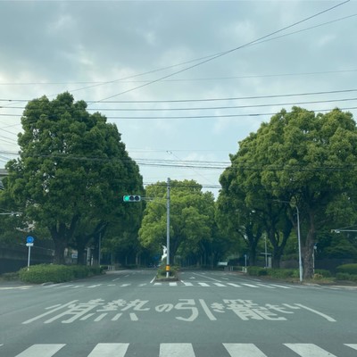 Appassionato Homebody Front Cover